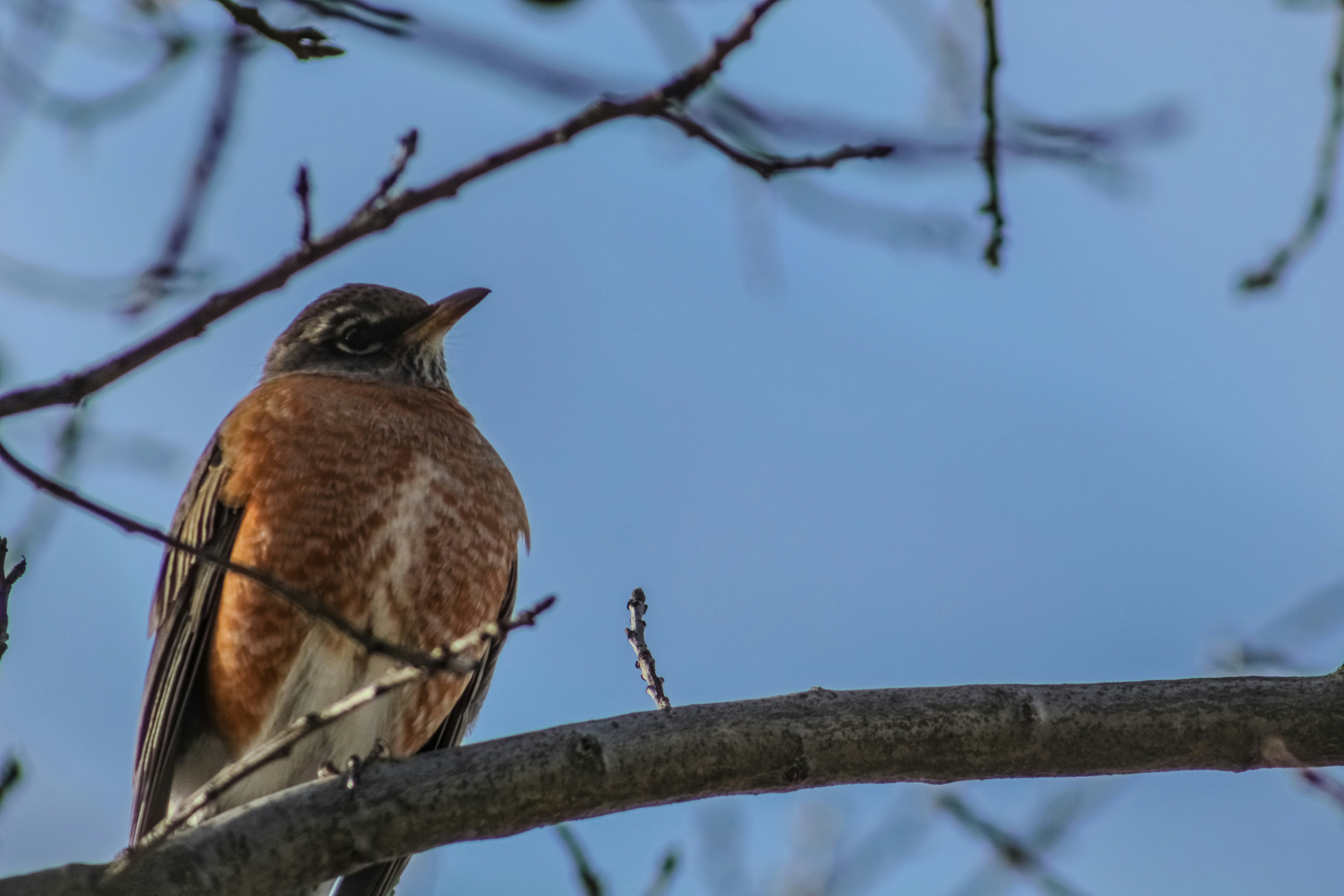 Photo by subm3rged_photography