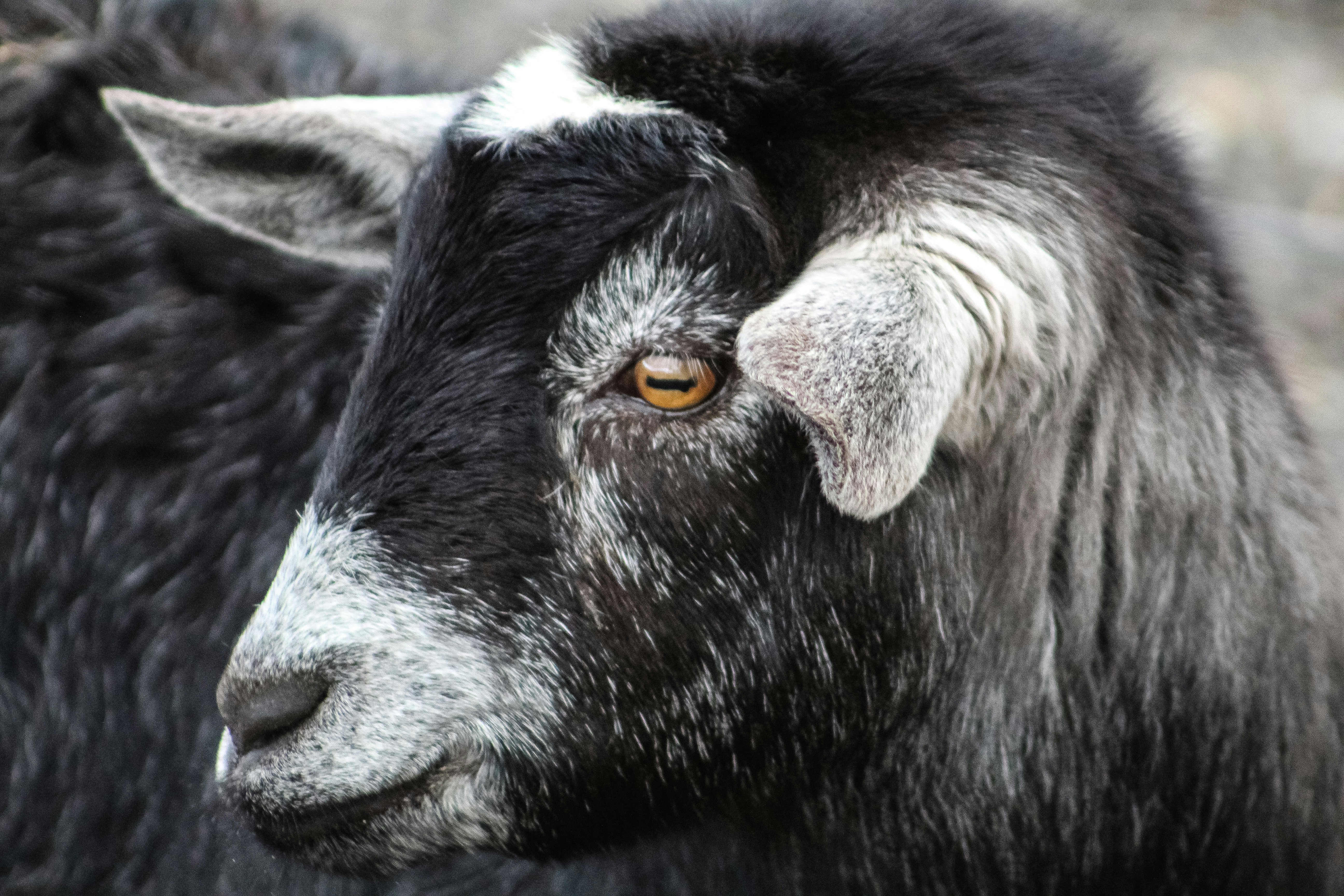 Photo by subm3rged_photography