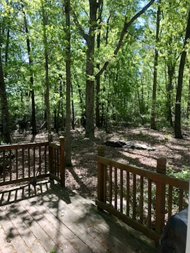 A wooden deck is bordered by a railing with vertical slats, extending into a lush, green forest. Sunlight filters through the dense foliage, casting dappled shadows on the forest floor and the deck.