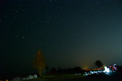 A serene night sky over a quiet countryside, stars twinkling brightly with minimal light pollution.