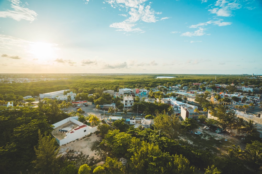 an aerial view of a small town surrounded by trees