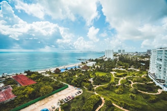 aerial view of trees and building