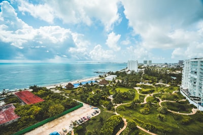 aerial view of trees and building cancun zoom background