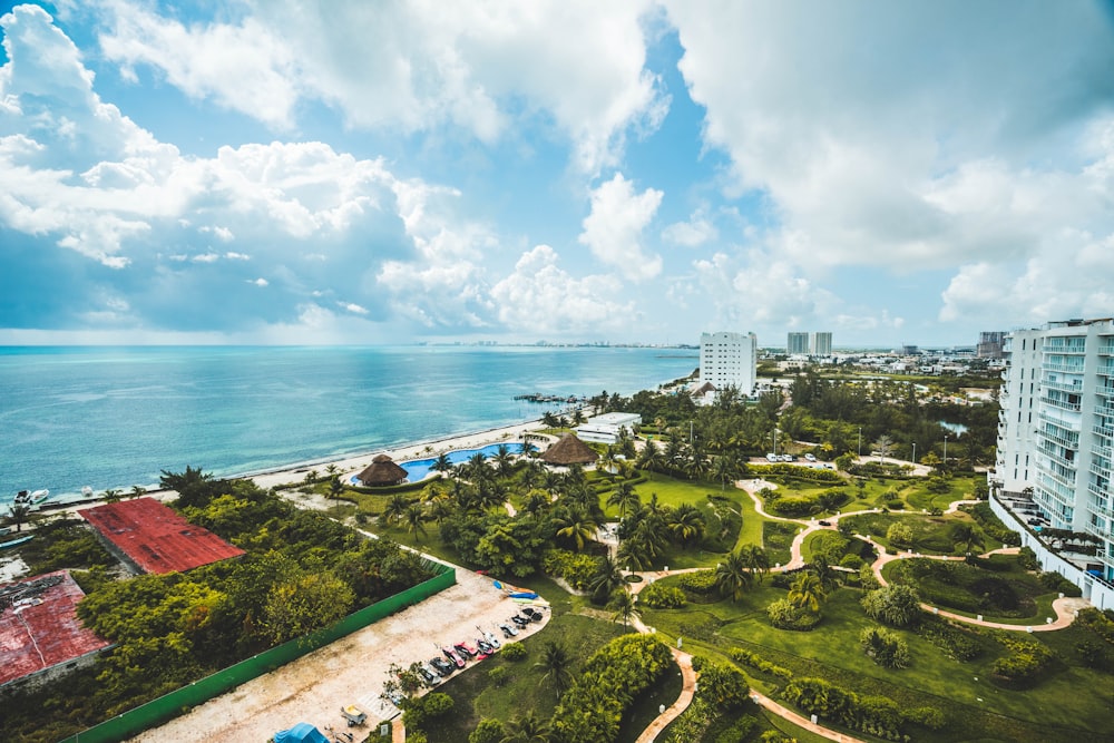 aerial view of trees and building