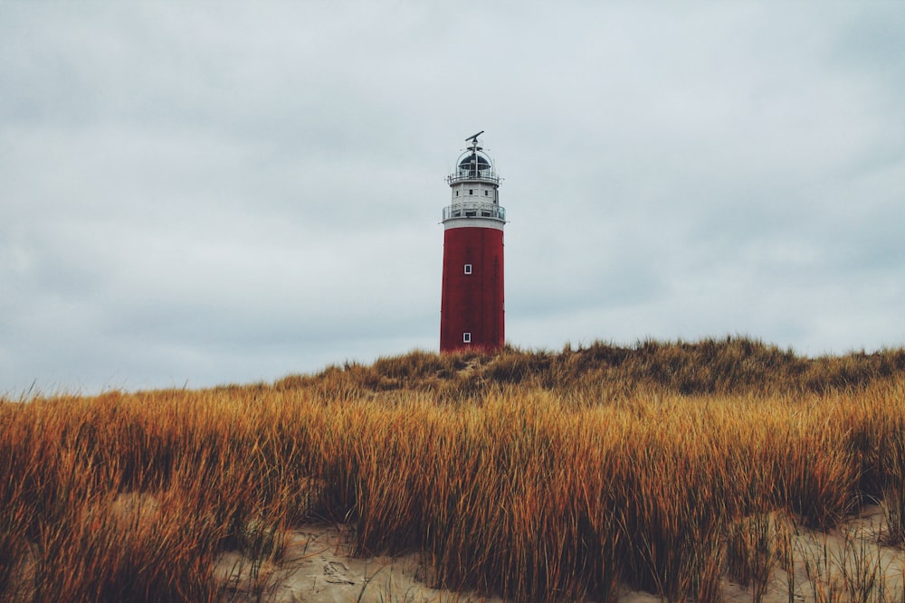 red and white lighthouse beside grass