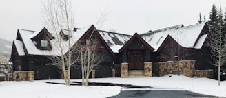 A large, dark-colored house with a snow-covered roof surrounded by some trees. The house features stone accents and rustic wooden elements, set against a wintry landscape.