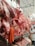 A butcher's shop displaying a variety of raw meats, including whole pig heads, hanging carcasses, and sausages. There is a man in a white uniform working behind the counter, surrounded by various cuts of meat on metal shelves.