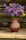 Close-up of a wide mouth ceramic vase with a glossy glaze, holding fresh wildflowers on a rustic wooden table.