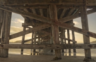 brown wooden dock trusses