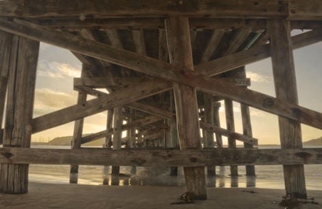 brown wooden dock trusses