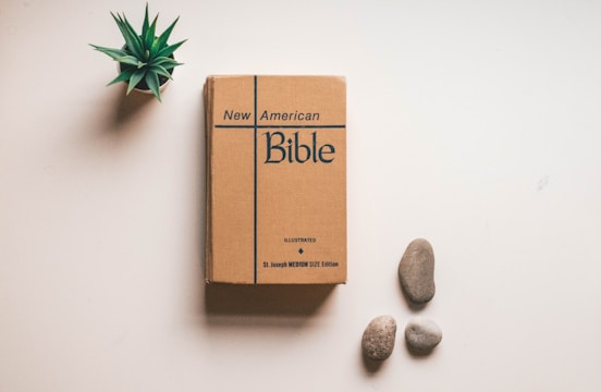 New American Bible