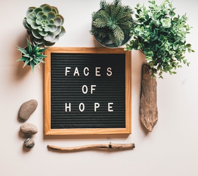 A wooden framed letter board with the phrase 'FACES OF HOPE' surrounded by indoor plants, stones, and a piece of driftwood on a white background.