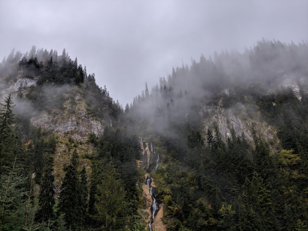 green mountain during daytime