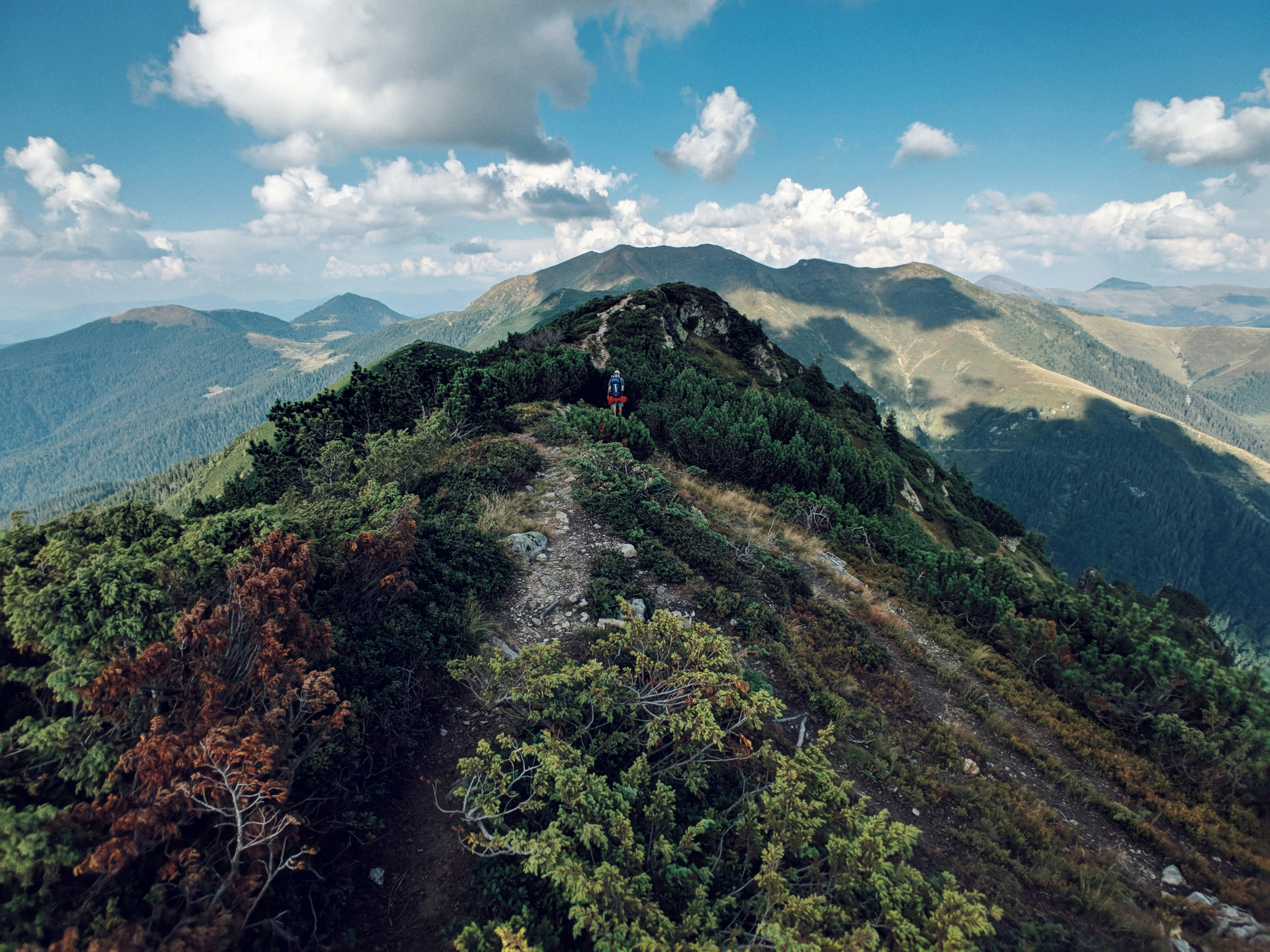 mountains and tress during daytime