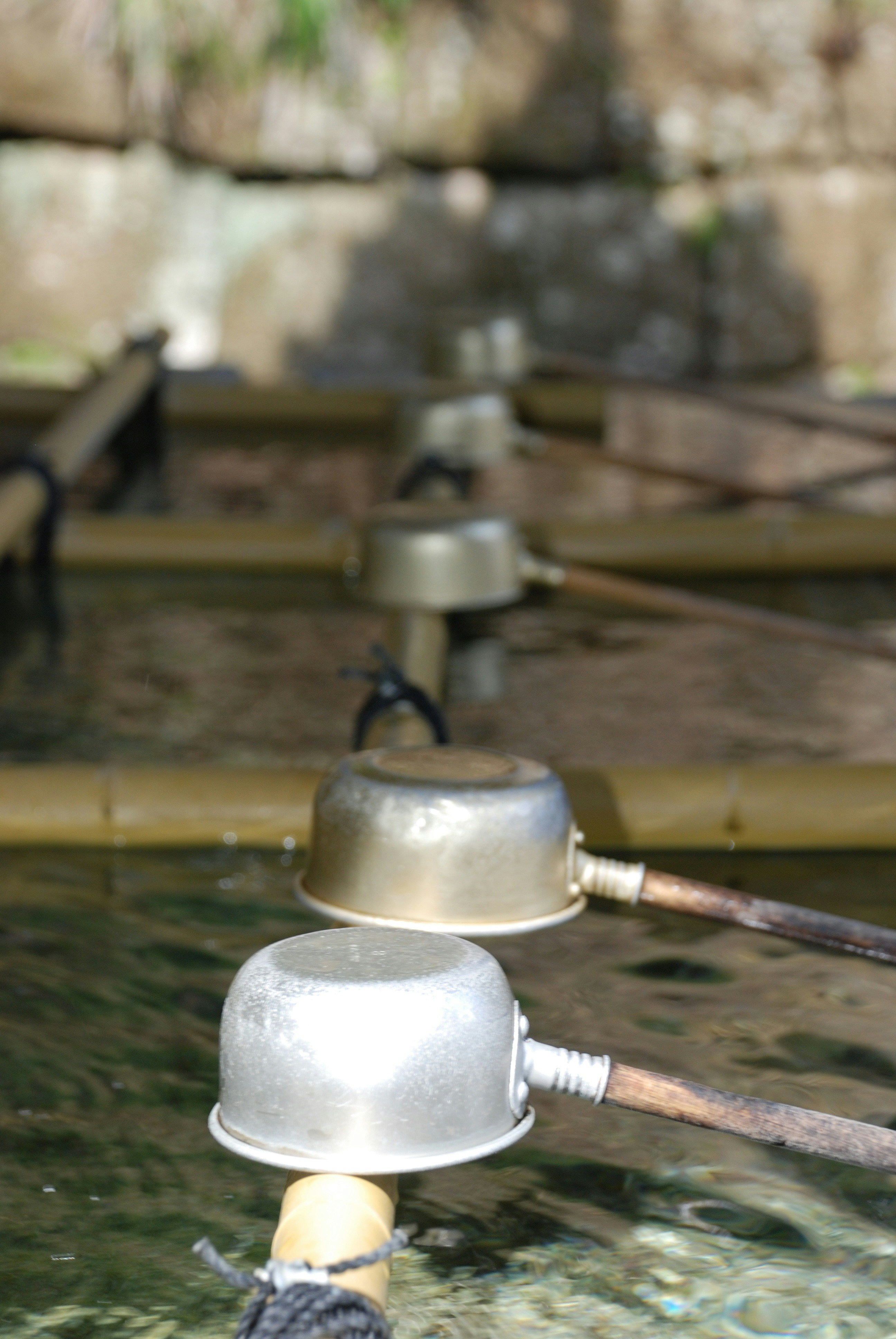 photo 1552093538 4a3b4c1dec25?ixlib=rb 4.0