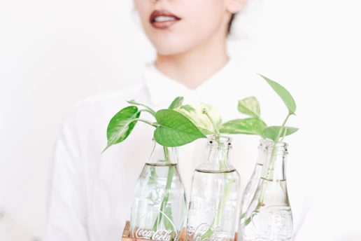 Bottles of bio-organic fertilizer arranged on a wooden table with fresh green plants in the background.
