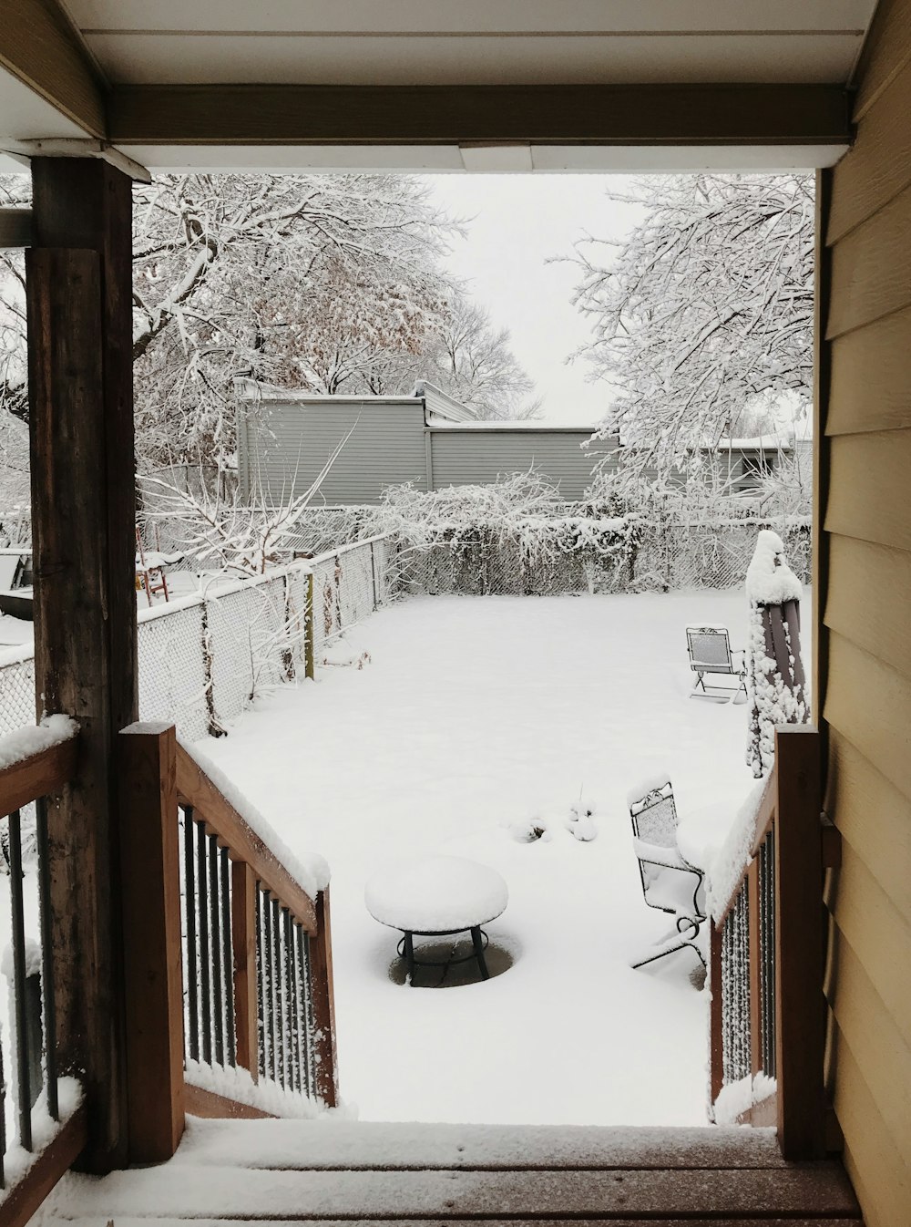 snow covered lawn