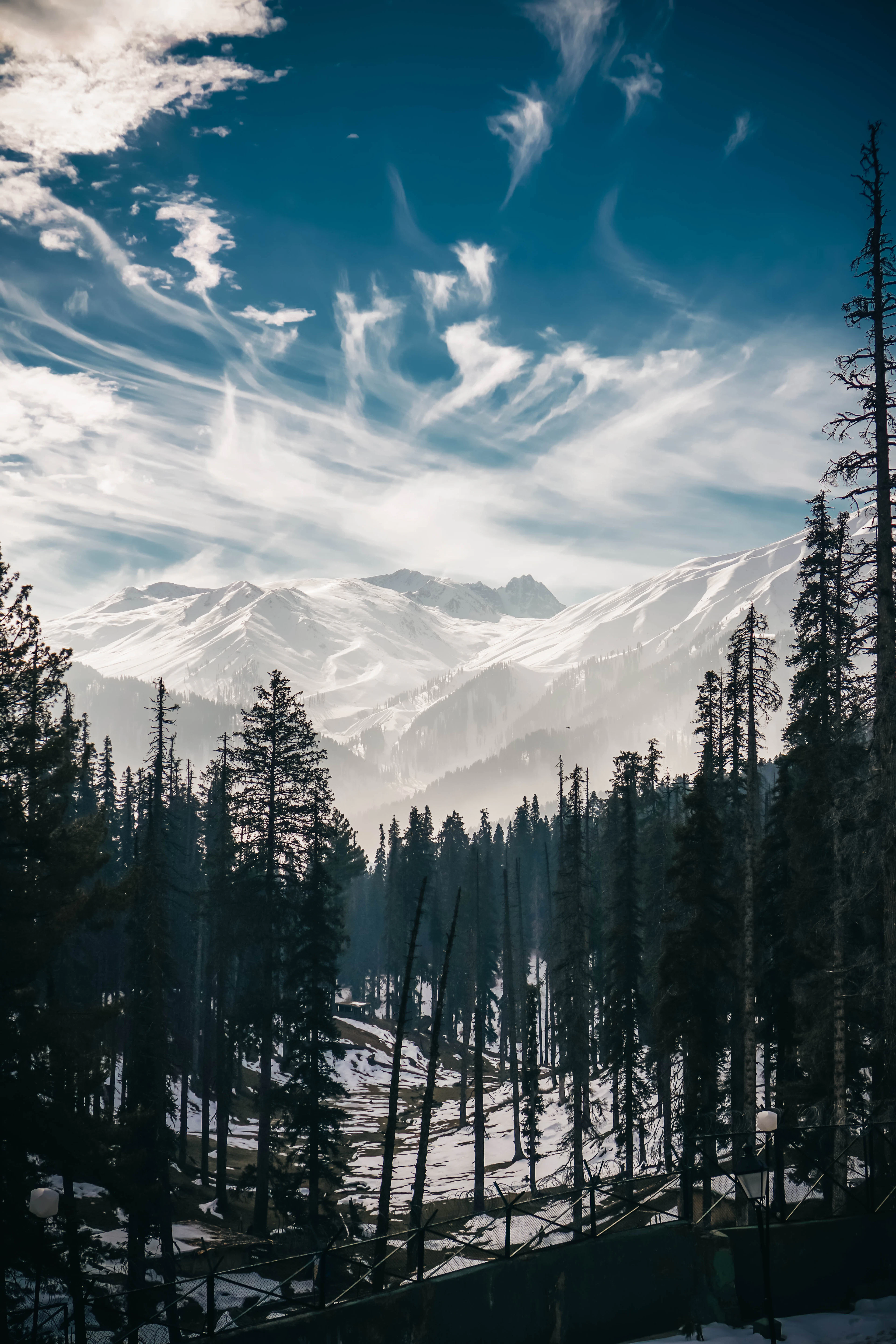 Gulmarg Winter Landscape