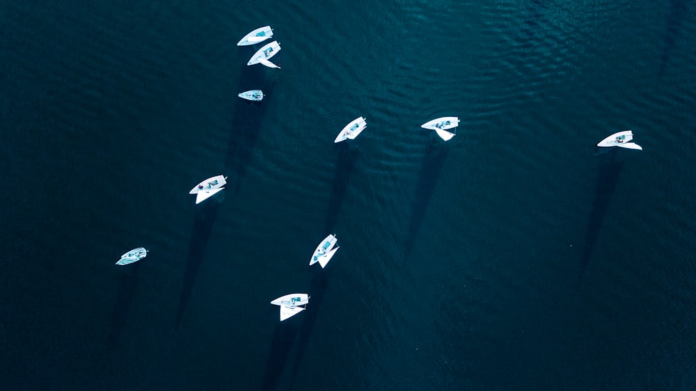 lots of schooner boat on body of water during daytime