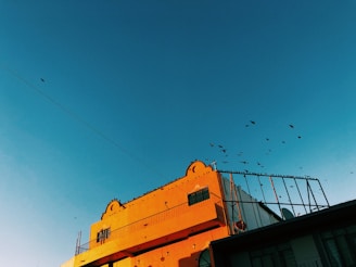 A skilled craftsman carefully applying a fresh coat of vibrant orange paint to a modern building facade in Treviso under a clear blue sky.