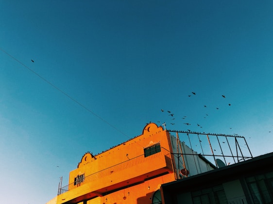 A skilled craftsman carefully applying a fresh coat of vibrant orange paint to a modern building facade in Treviso under a clear blue sky.