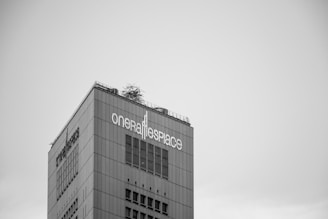 A tall, modern building with the words 'one raffles place' prominently displayed on the side. The facade is composed of glass and metal panels, creating a sleek and contemporary appearance. The sky in the background is overcast and the image is in black and white, adding a dramatic effect.