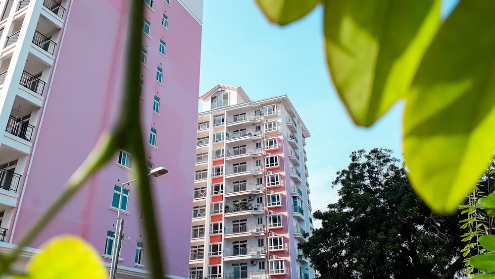 pink and white high-rise buildings