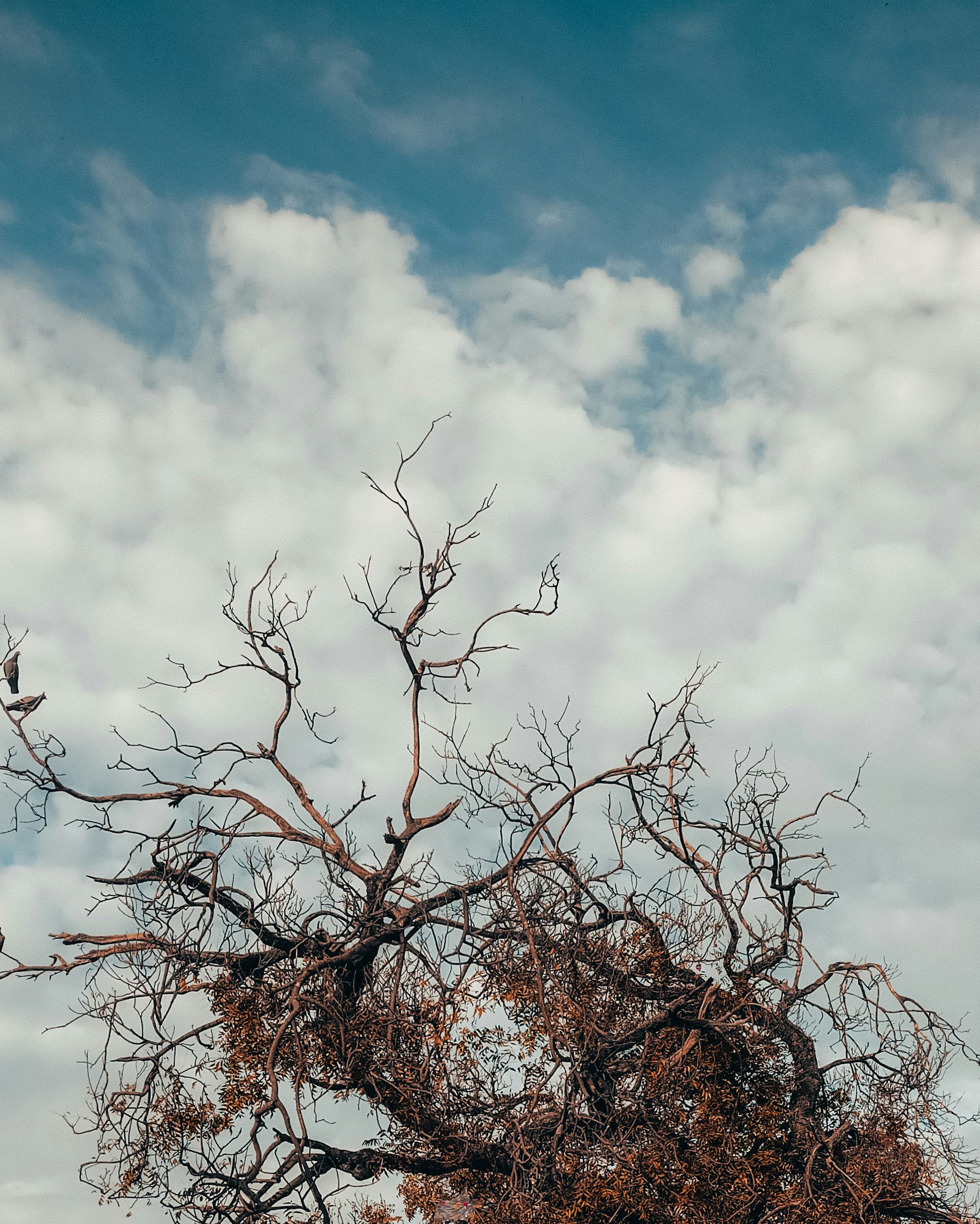 Photo by manthansharma