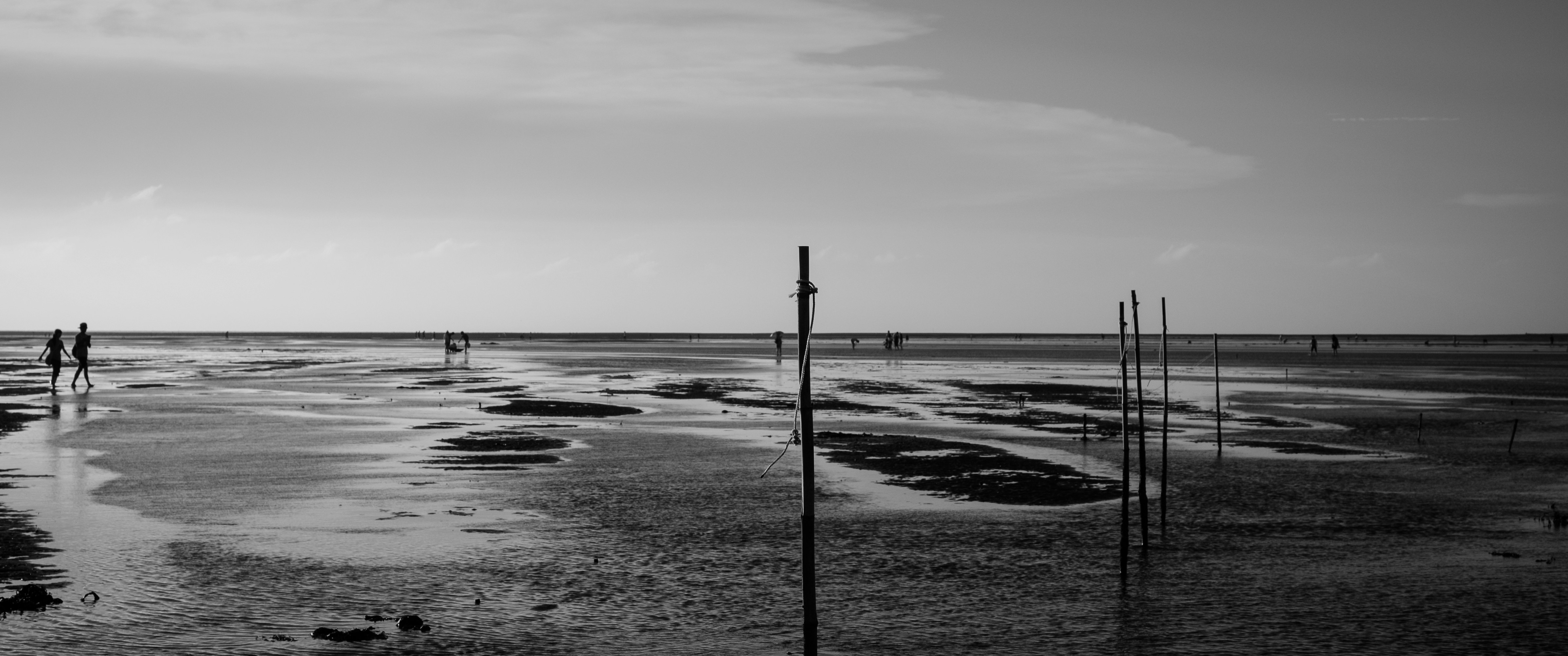 Photo by theprayingmantis