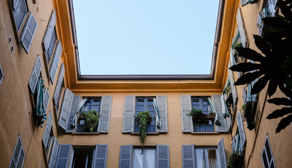 green plants on windows