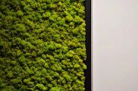 Close-up of a textured moss panel framed by sleek black borders, highlighting natural detail.