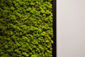 Close-up of a lush preserved black moss wall art framed in natural wood.