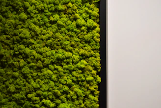Close-up of a lush preserved black moss wall art framed in natural wood.
