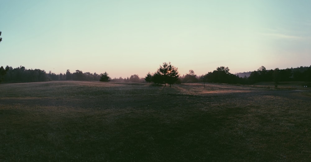 green field and green trees during daytime