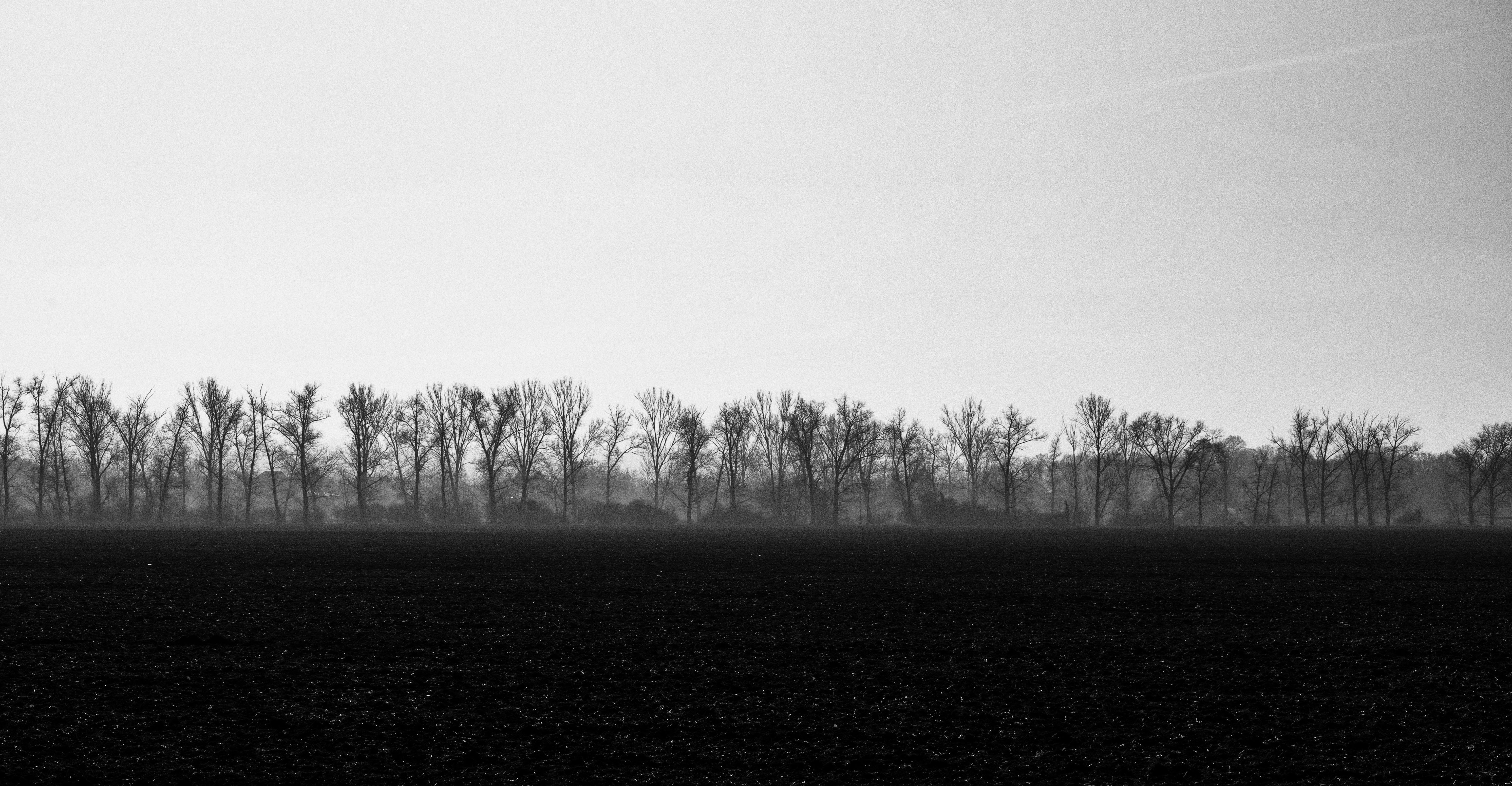 Photo by michaldolnik