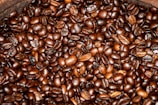A close-up of freshly roasted coffee beans glistening in sunlight.