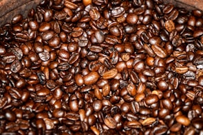 A close-up of freshly roasted coffee beans glistening in sunlight.