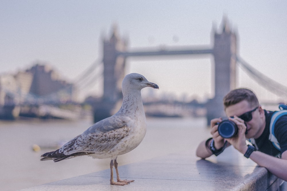 a man taking a picture of a seagull with a camera