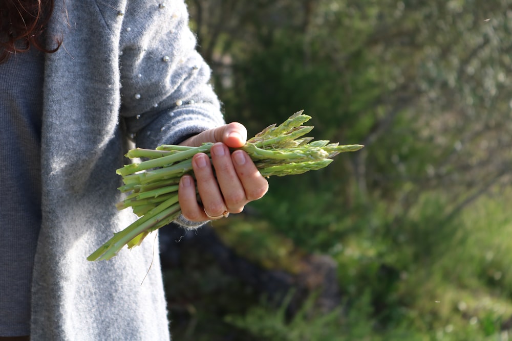 person holding asparagus