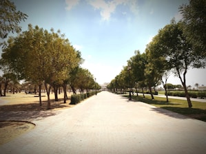 A serene campus pathway lined with lush green trees under a clear blue sky.