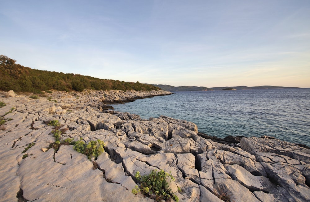 body of water under cumulus clouds wallpaper