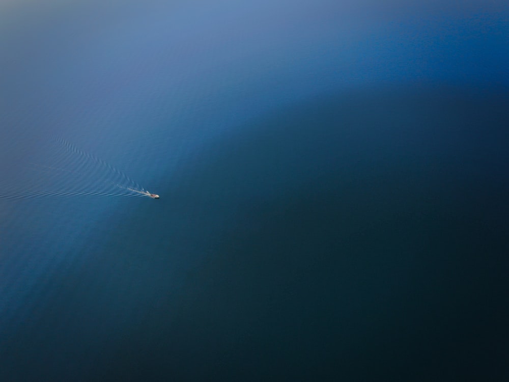 boat sailing in blue sea