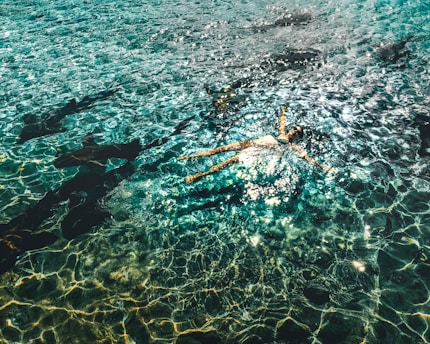 A person is floating on their back in clear turquoise water with sunlight reflecting off the surface. Several dark shadows resembling fish or sharks are visible beneath the water.