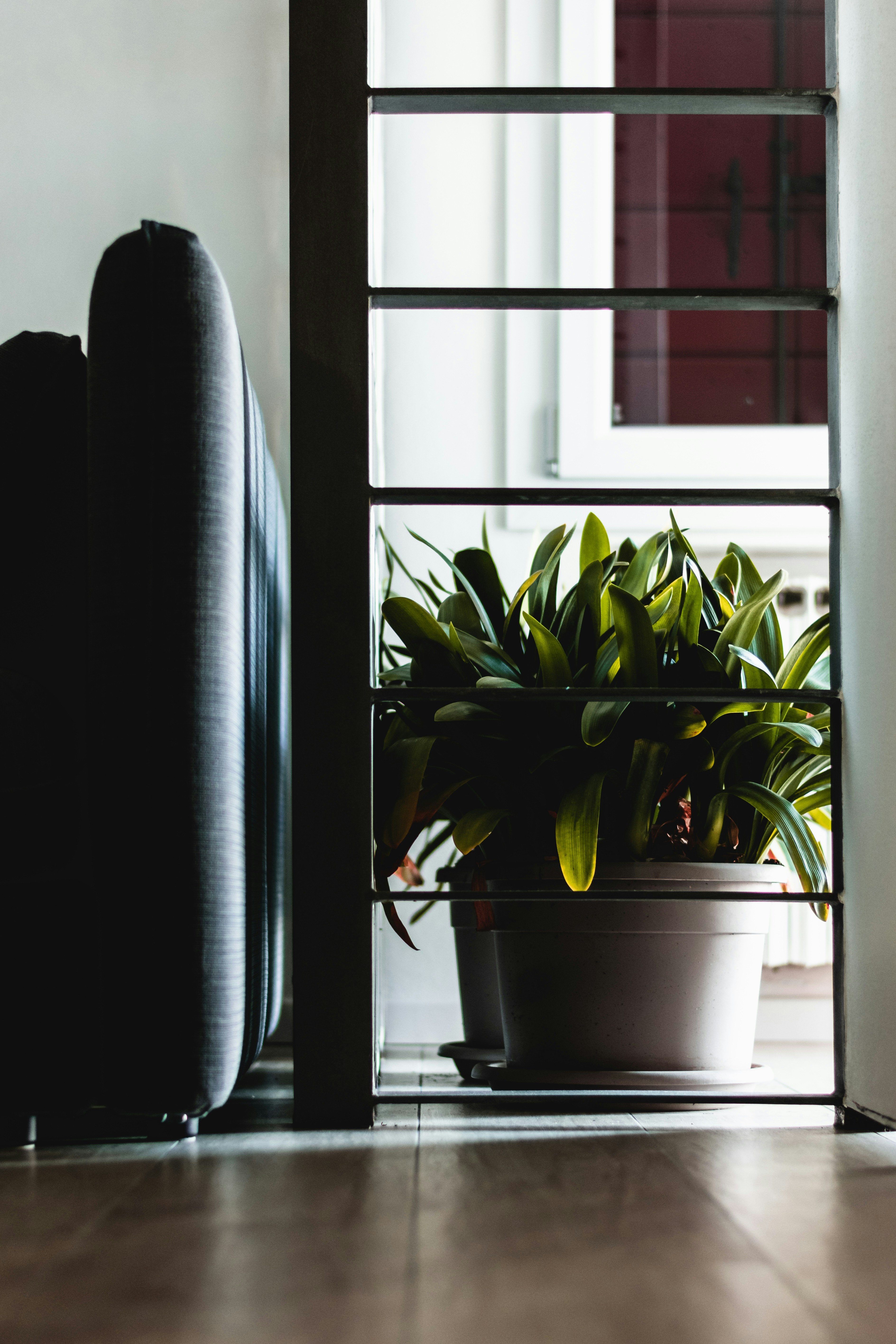 Photo by damiano_baschiera