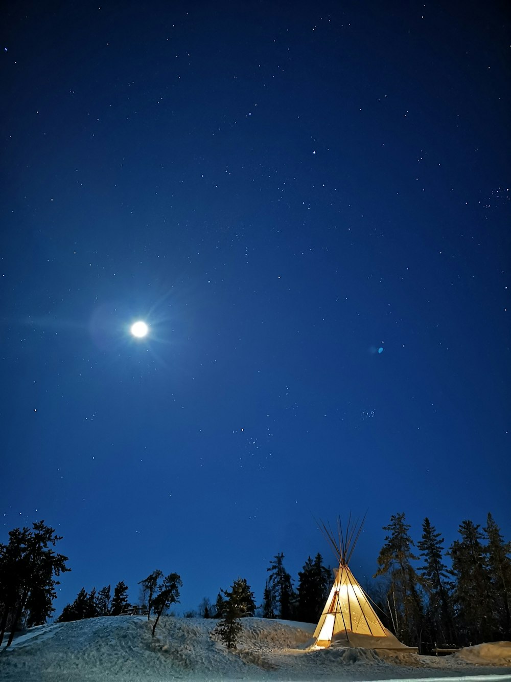 trees and moon