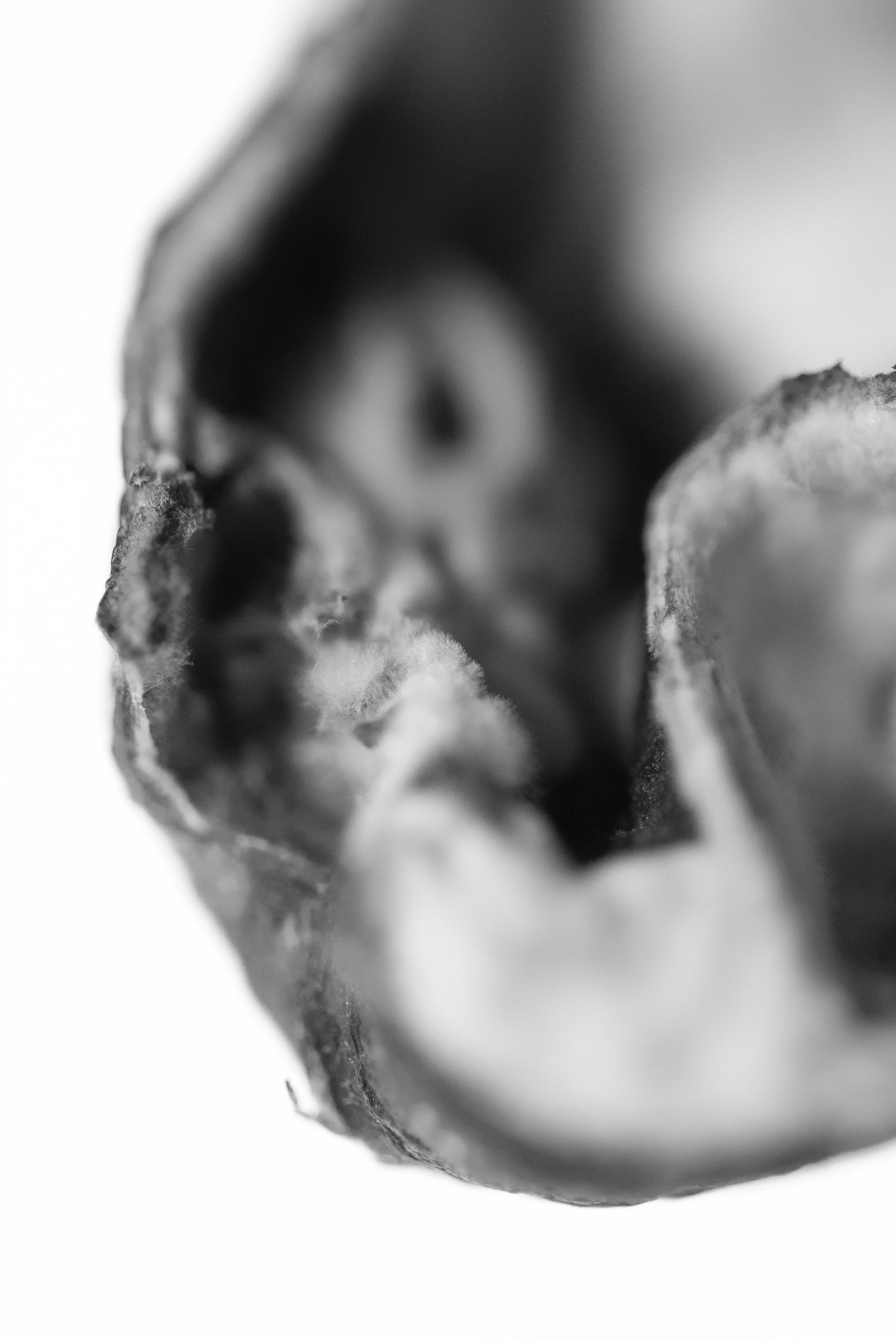 An abstract close-up of a textured surface, emphasizing delicately balanced contrasts and quiet details.