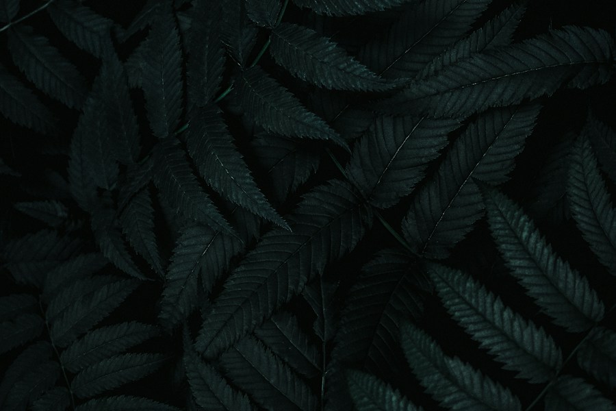 Dark botanicals