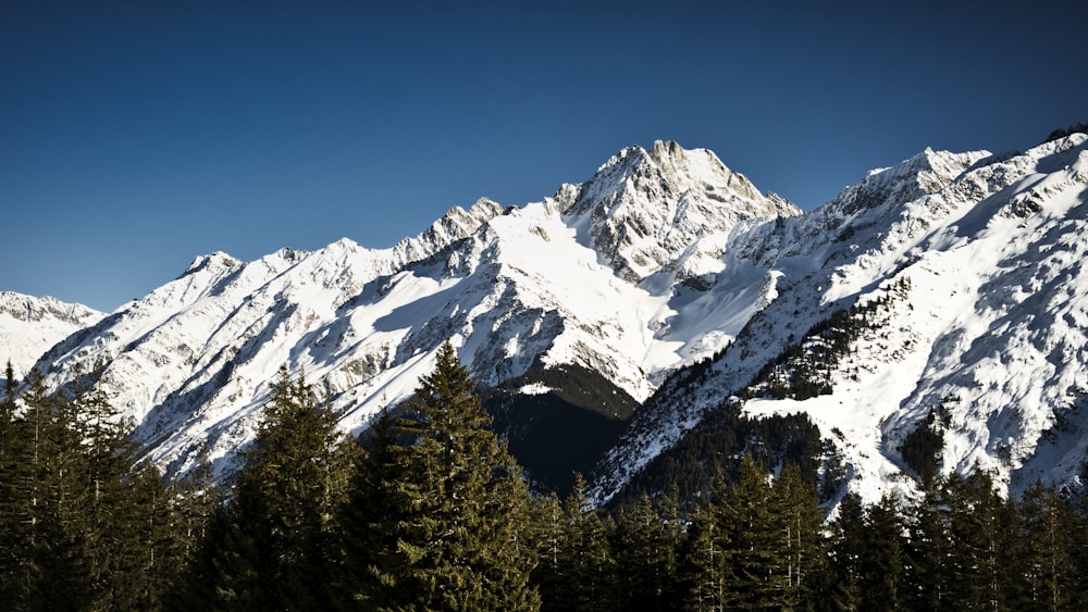 mountains and trees