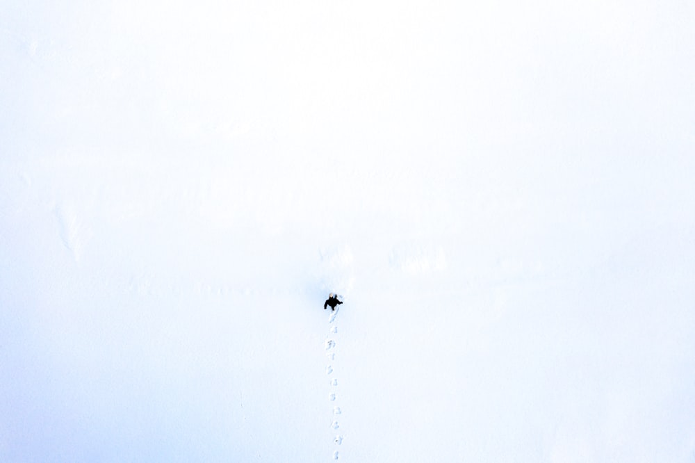 a person skiing down a snowy hill on a sunny day