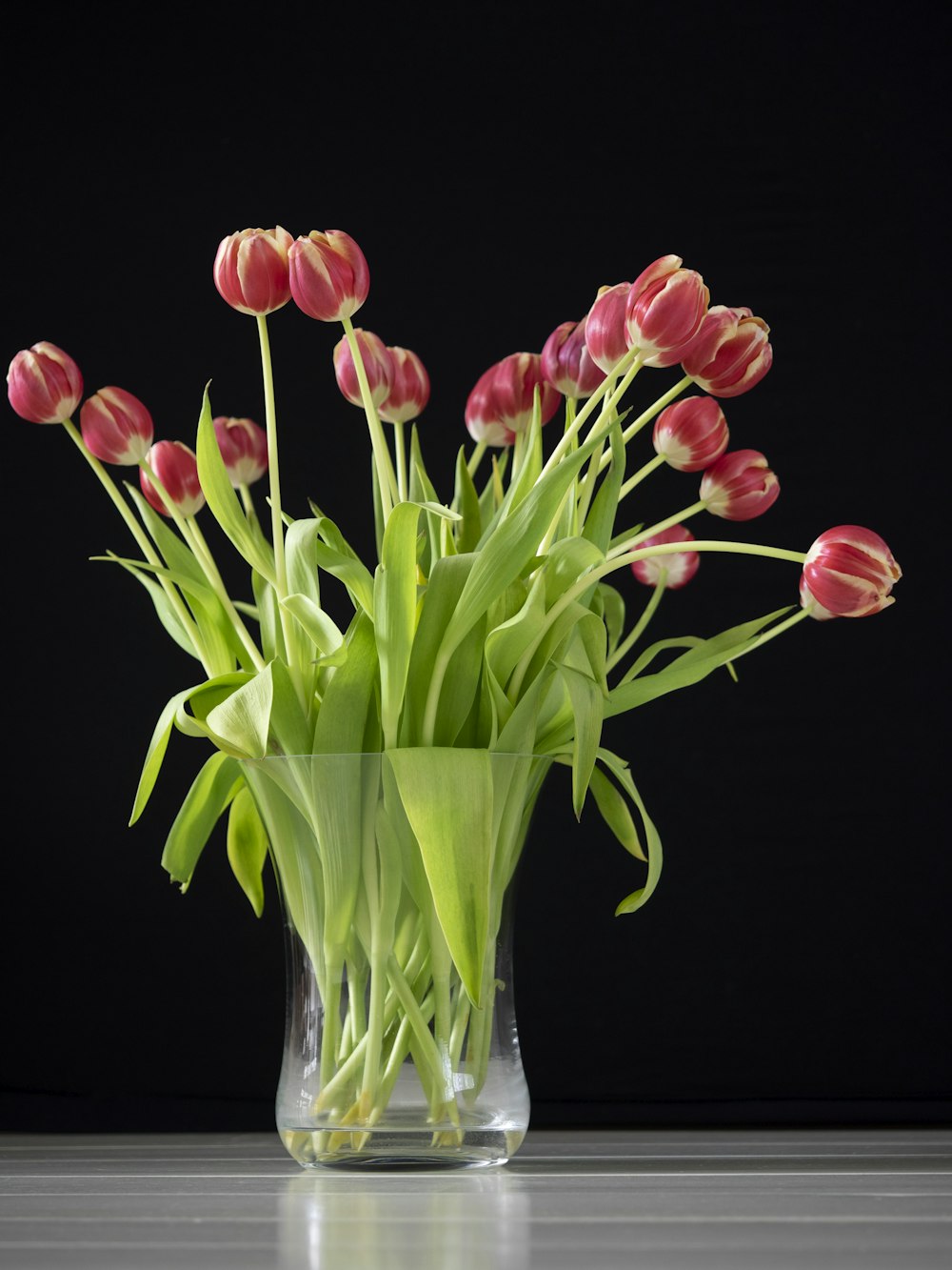 red tulip flowers on clear glass vase